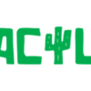 Cactus Casino